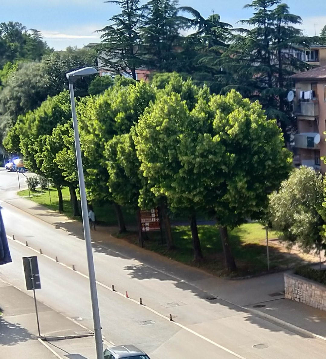 Bijelo dugme svira u krošnjama Umaga: “Lipe cvatu…“